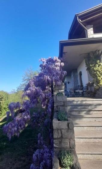 Bed & Breakfast Al Picchio Verde A.p.s. Cunardo