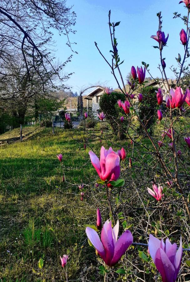 Bed & Breakfast Al Picchio Verde A.p.s.